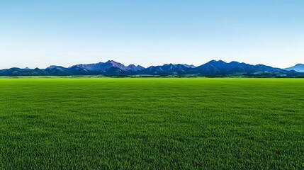 Fototapeta premium Expansive green fields under a clear blue sky with majestic mountains in the background, showcasing nature's beauty and serenity.