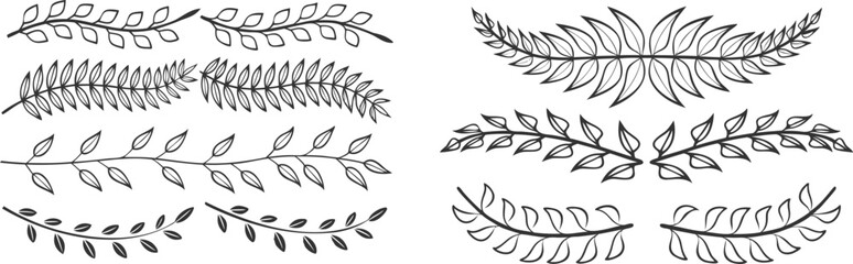 set of Elegant Fern Fronds and Eucalyptus Branches in Alternating Stripes – Botanical Line Art Vector Design figure, growth, jungle, silhouette, silver, textile, trend, wedding, dollar, exotic