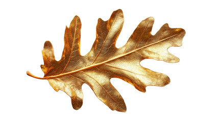 Fototapeta premium Golden oak leaf shining on transparent background