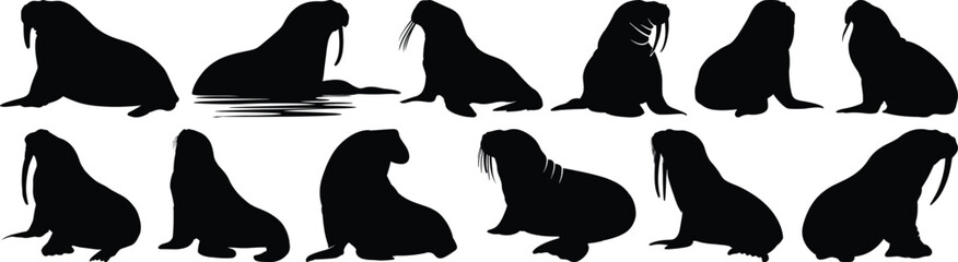 Sea silhouette set vector design big pack of lion illustration and icon