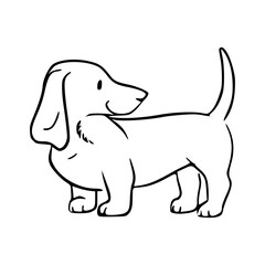 cute dachshund outline: playful dog vector
