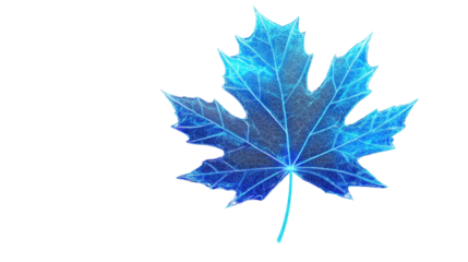 Blue glowing maple leaf on a transparent background, blending nature and technology