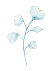 ice cubes on white backgroundBlue leaves on a white background