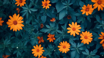 Vibrant Orange Flowers Amidst Deep Teal Foliage AI Generated