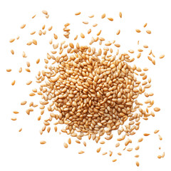 Sesame seed with natural hue isolated on transparent background
