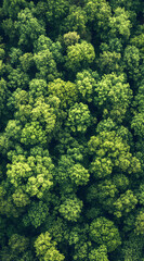 Fototapeta premium High definition green tree images