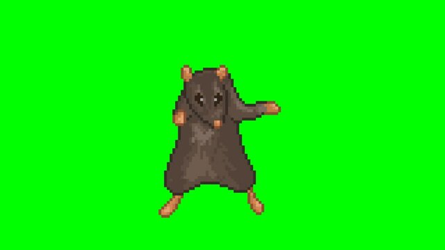 Dancing rat, pixel art meme