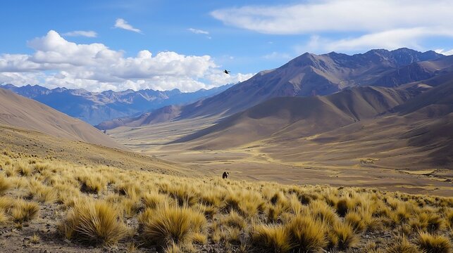 Peruvian mountain plateau where Andean condors vicuas pumas vizcachas and chinchillas live at extreme altitudes