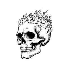 Skull head with fire illustration