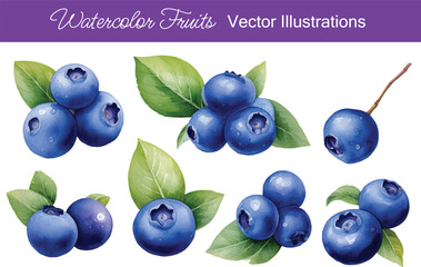 Watercolor Blueberries Fruits Vector Collection | Generative AI