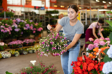 Woman in casual clothes shopping for pot of garden flower at flower shop
