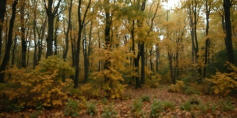 Soft, blurred green and brown autumnal forest background, fall, background, landscape