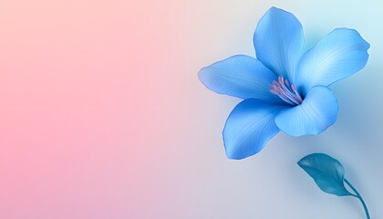 Fototapeta premium Single Blue Flower with Teal Leaf on Pastel Background