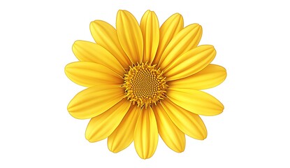 Obraz premium Bright Yellow Gerbera Daisy Flower with Radiant Petals Top View