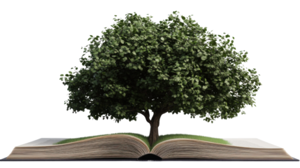 lush green tree growing on the page of open book isolated on white background