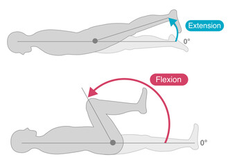 Range of motion of the hip joint  Flexion　extension
