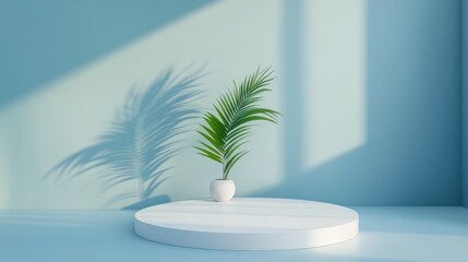 Fototapeta premium Minimalist display podium with plant, soft light, studio