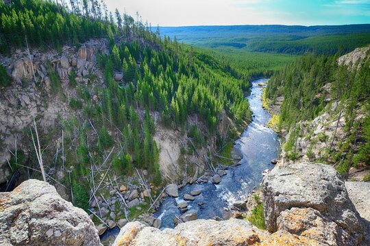 a river running through a forest and hills