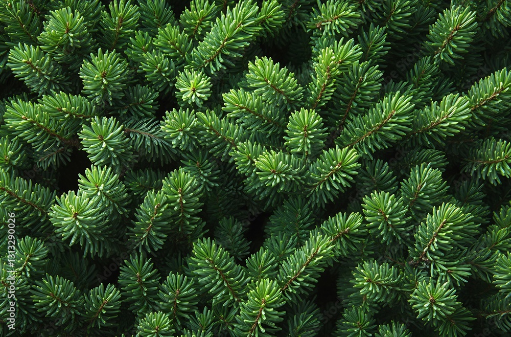 Poster close up view of lush green pine needles in a dense evergreen forest : generative ai