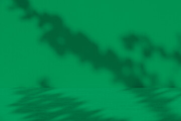 Wall interior background, studio and backdrops show products. with leaf shadow from window color green and white. background for text insertion and presentation of product	
