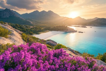 Naklejka premium Sunset over Corsica's Pink Beach