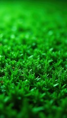 Naklejka premium Uniform, short blades; plush, even carpet of green , serenity, grassy, outdoor
