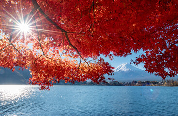 Mount Fuji, the iconic symbol of Japan, during the season of autumn foliage, a period of...
