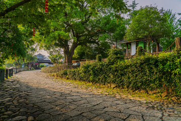 Fototapeta premium The view of stone paths, ancient buildings, and large trees in ancient towns in mountainous areas of Zhejiang Province, China On May 24th, 2024