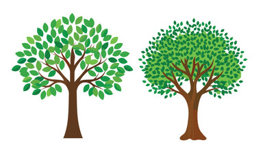 Fototapeta premium Collection of trees. tree set isolated on white background.