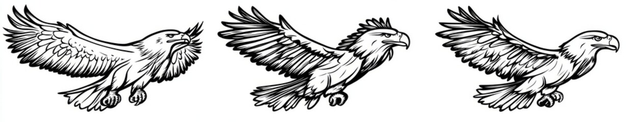 Obraz premium A hand-drawn black-and-white doodle of an eagle in a swooping attack