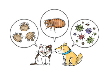 犬猫と寄生虫(ダニ、ノミ、病原菌)