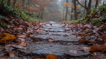 Fototapeta premium A misty forest path lined with colorful autumn leaves and stone steps, evoking a serene, tranquil atmosphere.