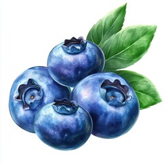 A vibrant illustration of fresh blueberries