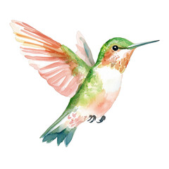 Obraz premium Colorful Watercolor Hummingbird in Flight for Nature Lovers