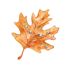 Naklejka premium Beautiful Watercolor Illustration of Autumn Leaf with Drops