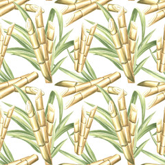 Cut sugar cane stalks with leaves. Bamboo. Seamless pattern of plantation harvest. Hand drawn watercolor illustration. Sweet stems for sugar or rum production. Template for food design, packaging.