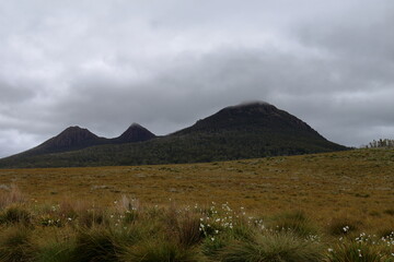 tasmanian landscape