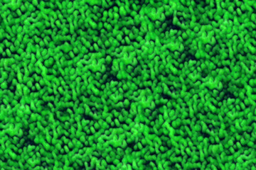 顕微鏡を覗いて蛍光緑色の微細胞や細菌がひしめき合うようなイメージ黒背景テクスチャー