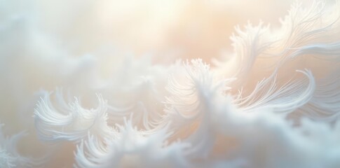 Soft, airy white feather texture; delicate, ethereal backdrop , background, photography, organic