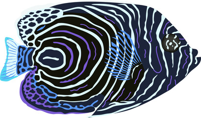 Juvenile Emperor Angelfish Illustration