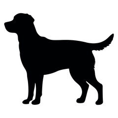 Dog silhouette