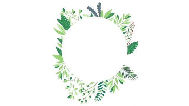 Elegant Botanical Circle Frame Animation, Floral Motion Graphic