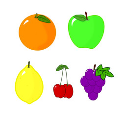 Illustrations of various kinds of fresh fruits such as oranges, green apples, lemons, cherries and grapes 
