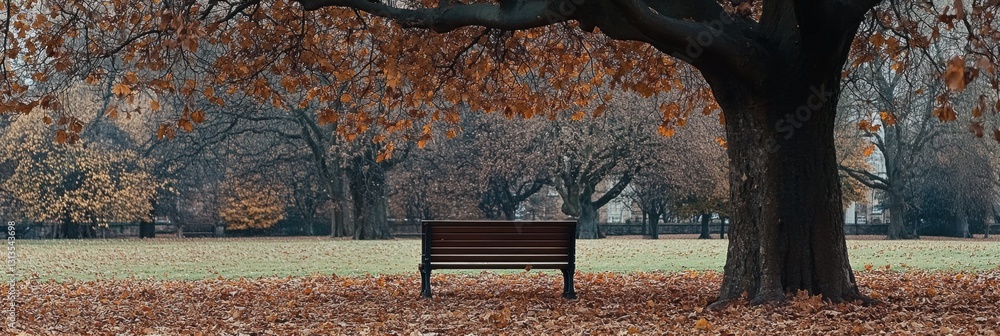 Poster Solitary bench under a tree surrounded by fallen leaves in a tranquil park during soft autumn light Generative AI