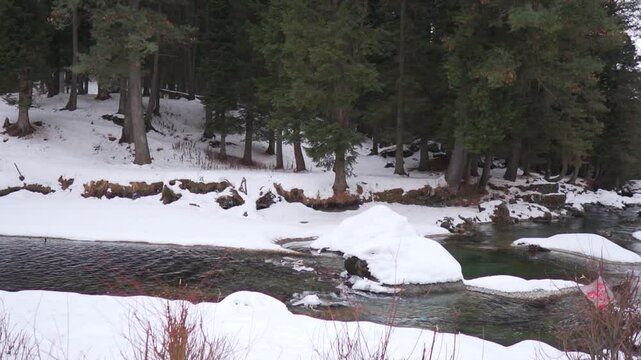 Slow motion shot of Lidder river flowing besides the pine tree forest with riverbanks covered by snow during the winter season as seen from Betaab Valley near Pahalgam in Jammu and Kashmir, India.