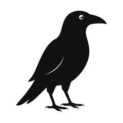 Obraz premium crow on a white background