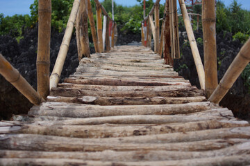 Fototapeta premium Wooden bridge connecting lush greenery to rocky terrain under clear sky
