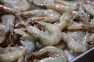 Authentic fresh shrimp at the central market in Oaxaca, Mexico.