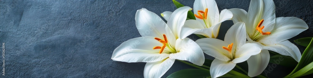 Poster elegant white lily flowers on a textured dark background with copy space for text or design