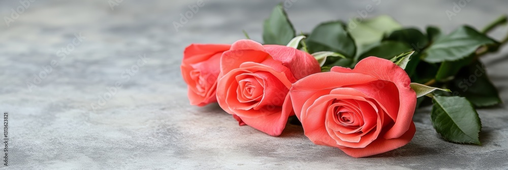 Poster fragrant memory three delicate roses in salmon tones adorn gray background with copyspace